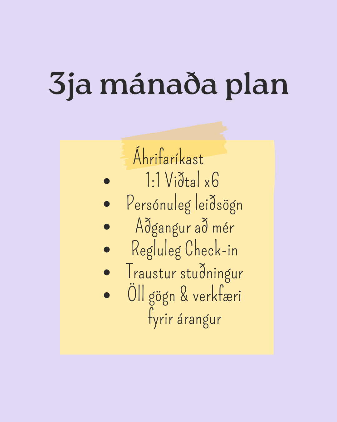 3ja mánaða plan
